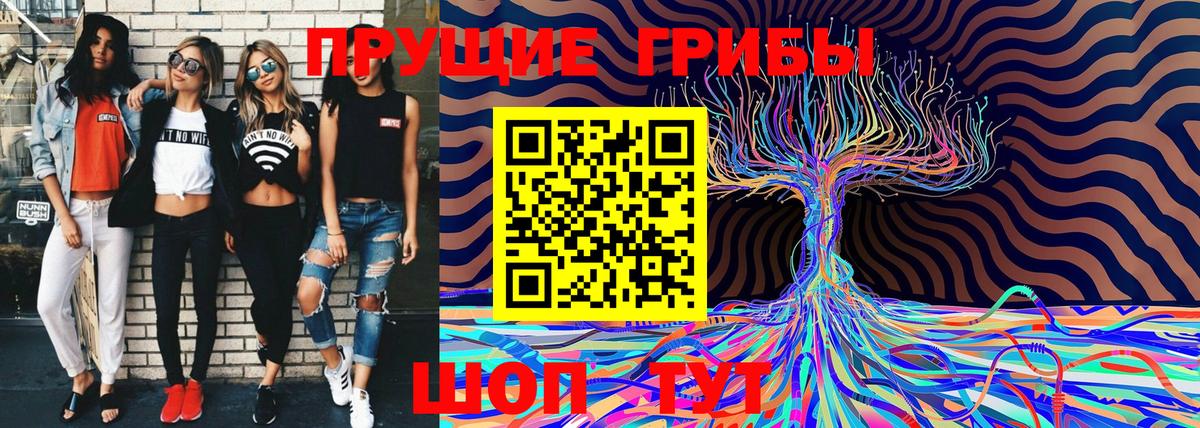 Псилоцибиновые грибы Psilocybe  Вход с VPN  Гуково 