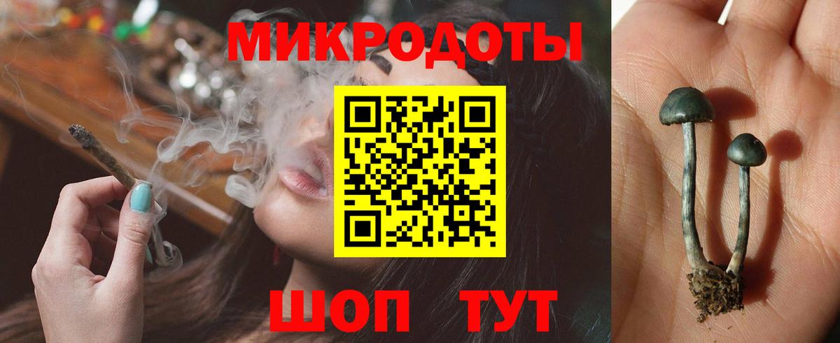 Галлюциногенные грибы Magic Shrooms Гуково